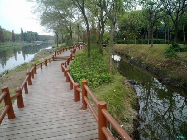 深圳大沙河公园的介绍